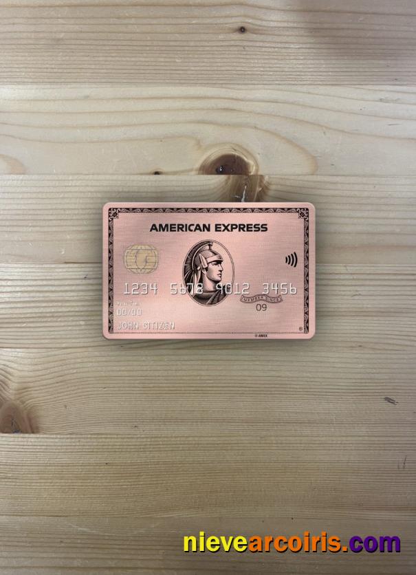USA University of Southern Indiana bank AMEX rose gold metal card photolook